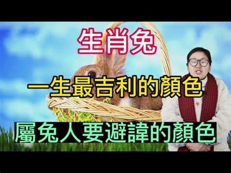 屬兔 幸運色|屬兔的今年適合什麼顏色？開運色讓你財運亨通！ 